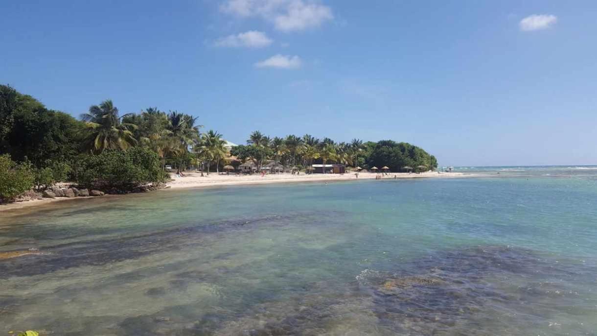 Bel , 45m2 ,wifi Hd ,4 Voyageurs Appartement Saint-Francois (Grande-Terre)