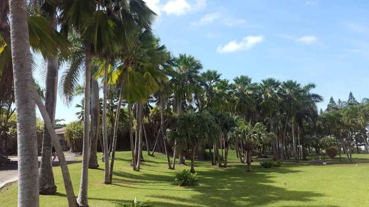 Bel , 45m2 ,wifi Hd ,4 Voyageurs * Saint-Francois (Grande-Terre)